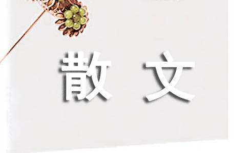 蒸豆包散文（通用20篇）