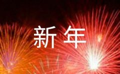 致新年自己的一封信600字（精选12篇）