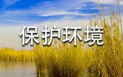 保护环境，从我做起作文（热门）