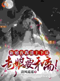 【爆款新书】宋阮穆修泽_新婚夜踢渣王下床，老娘要和离！小说全文章节在线阅读